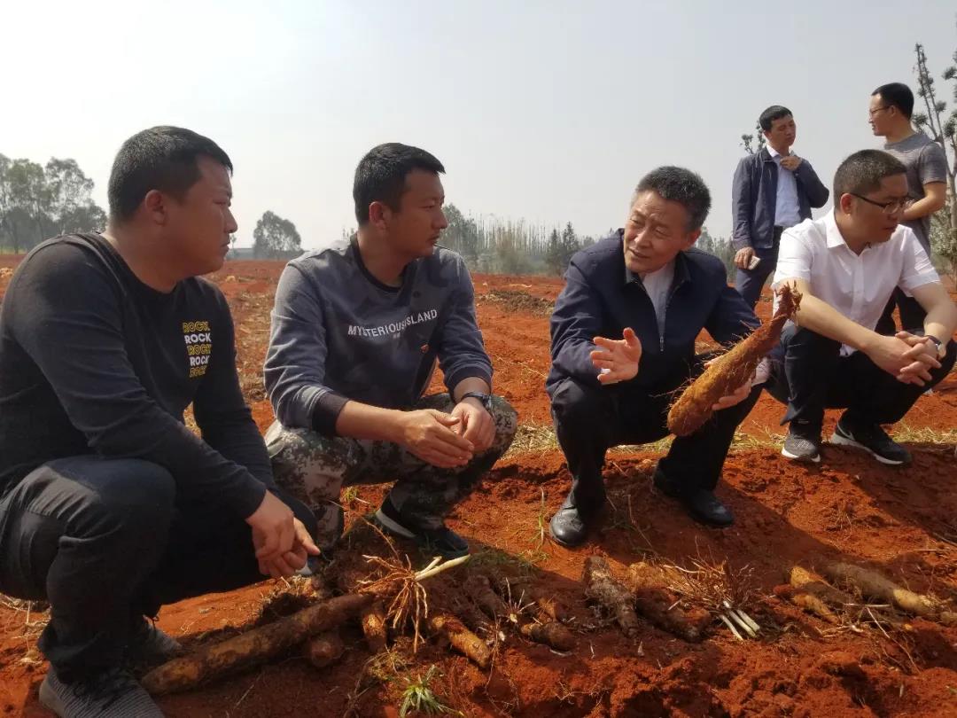 EVO厅·(中国区)视讯官网