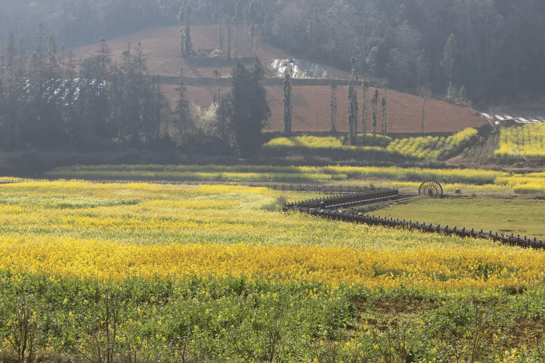EVO厅·(中国区)视讯官网